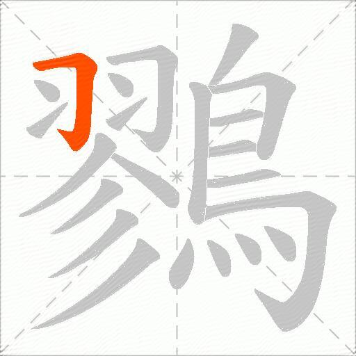 鷚