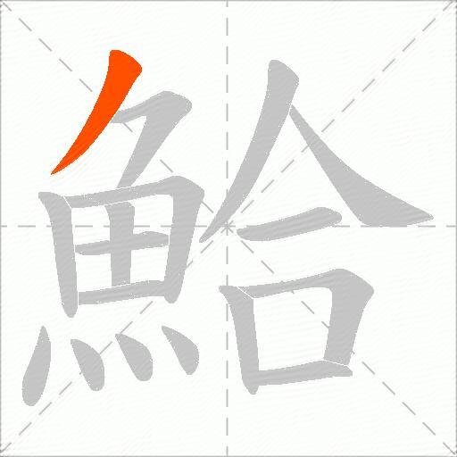 鮯