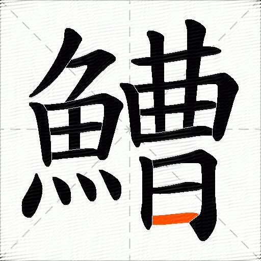 鰽