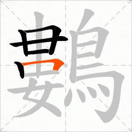 鷜
