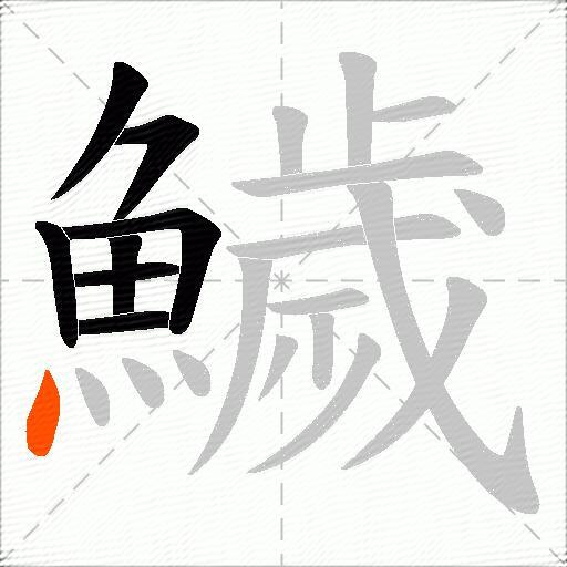 鱥