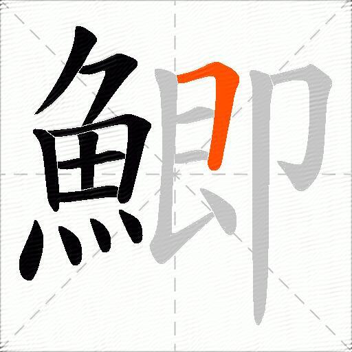 鯽