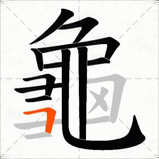 龜
