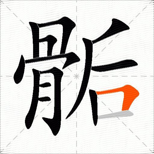 骺