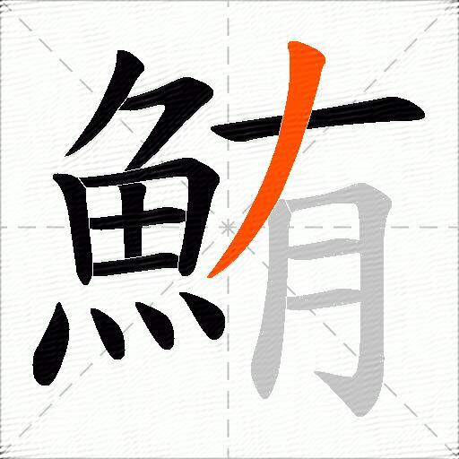 鮪