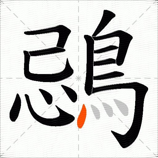 鵋