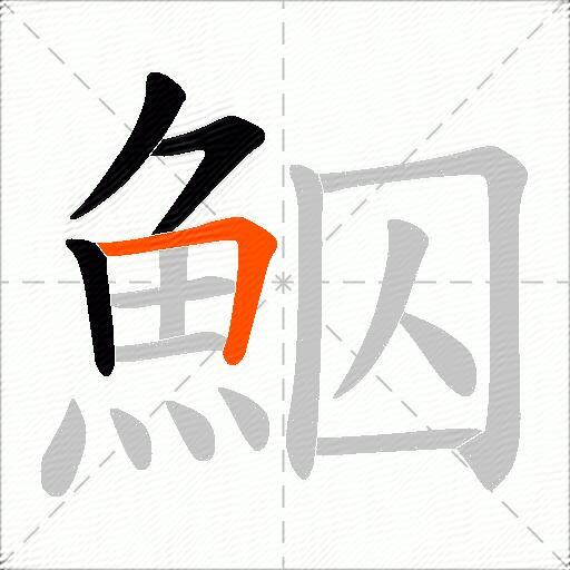 鮂