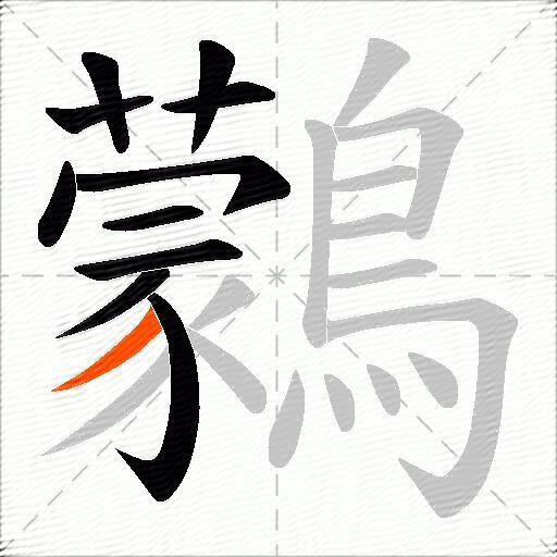 鸏