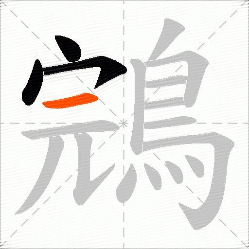 鵍