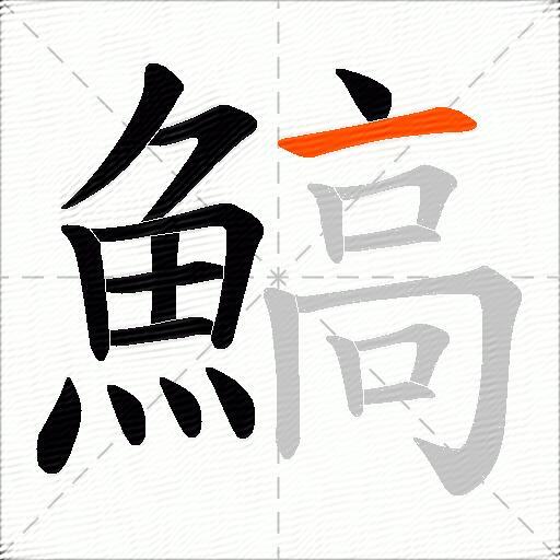 鰝