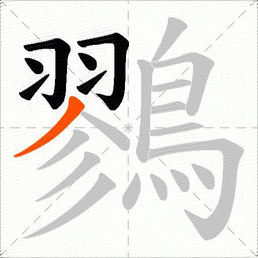鷚
