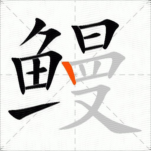 鳗