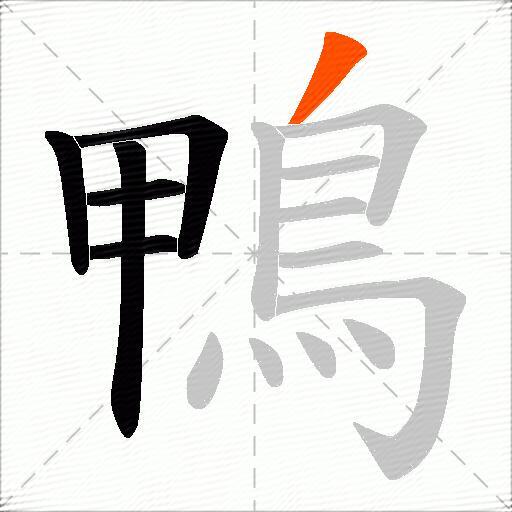鴨