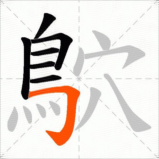 鴥