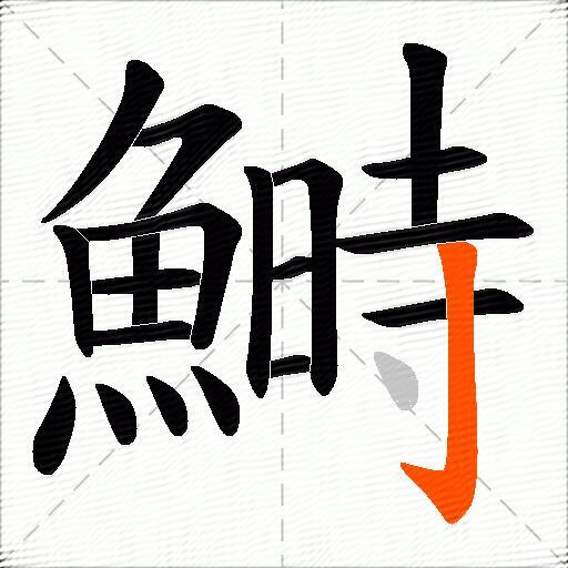 鰣