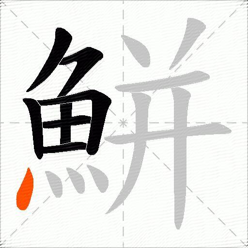 鮩
