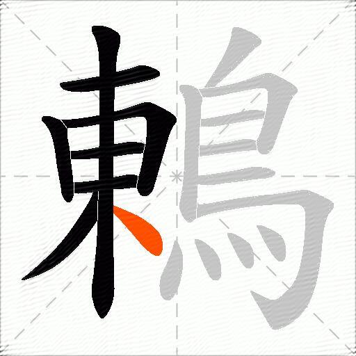 鶇
