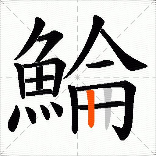 鯩