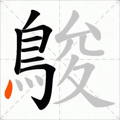 鵔