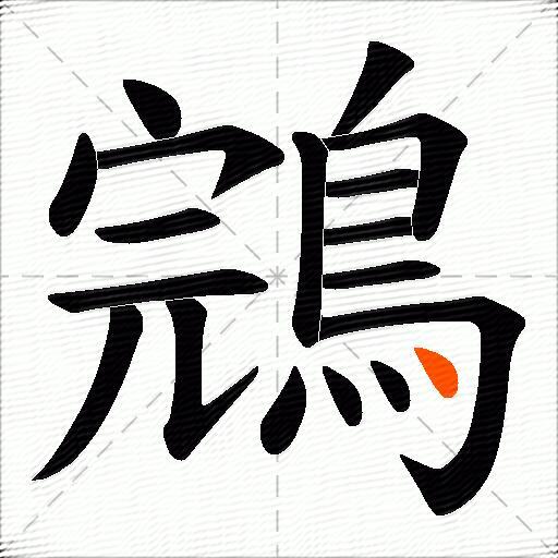 鵍