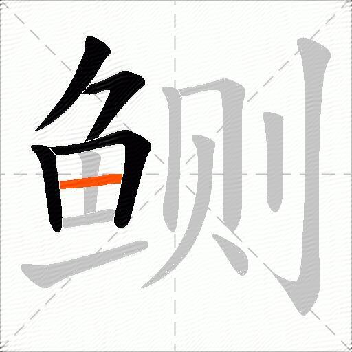 鲗