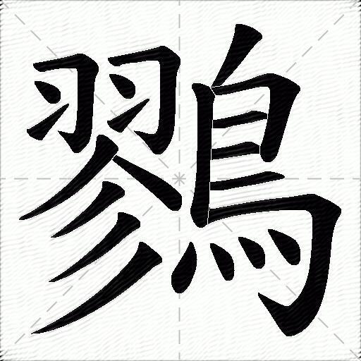 鷚