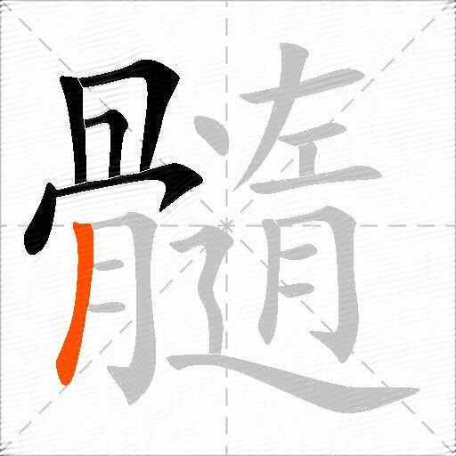 髓
