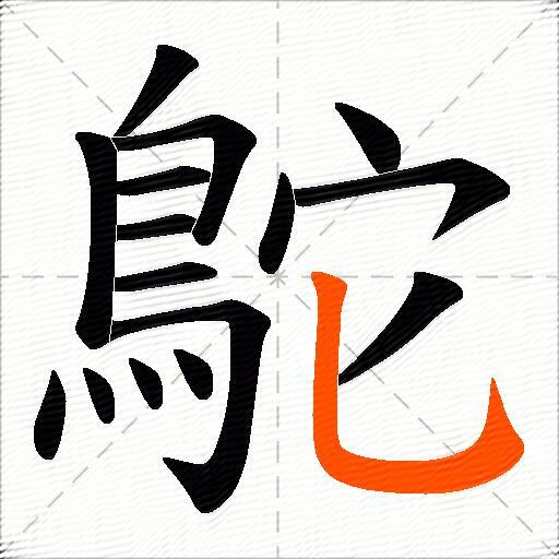 鴕