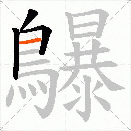 鸔