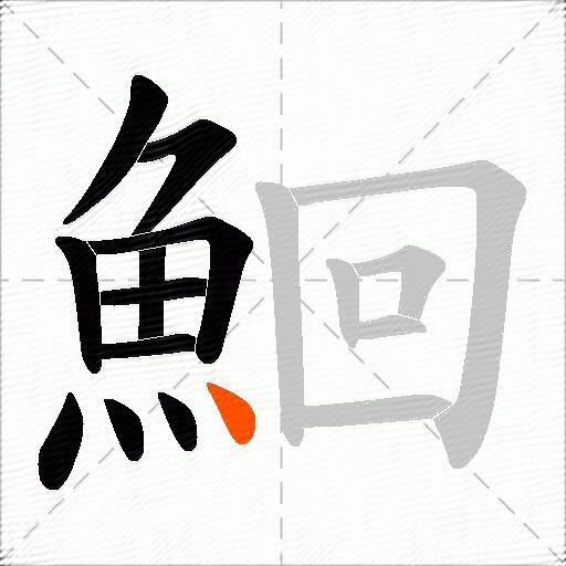 鮰
