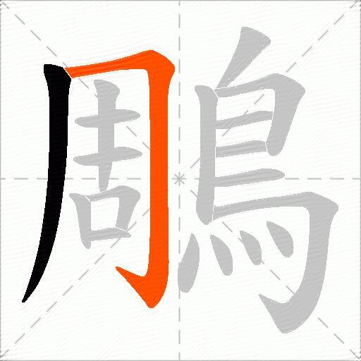 鵰
