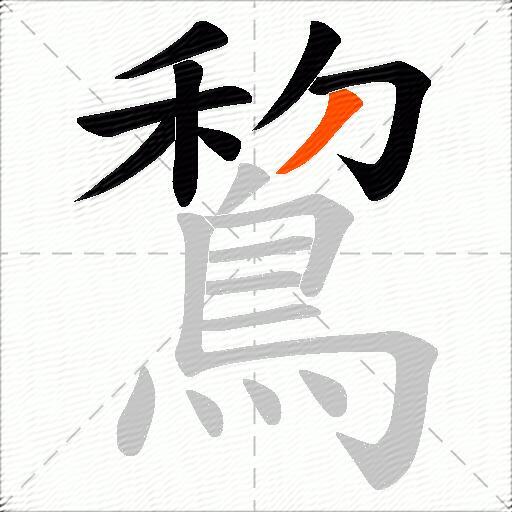 鵹