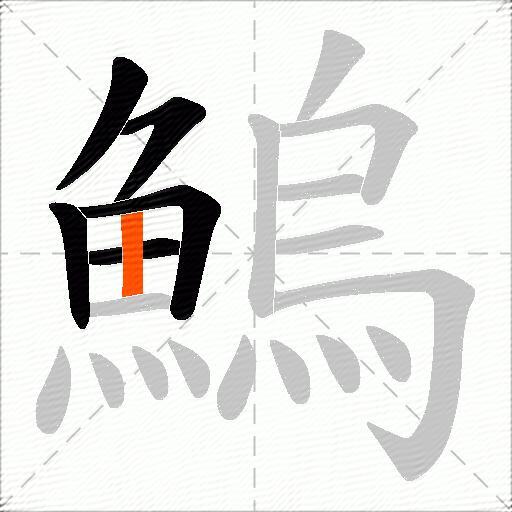 鰞