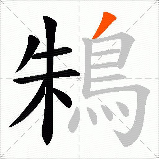 鴸