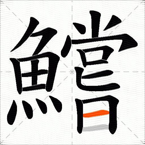 鱨