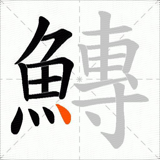 鱄