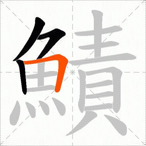 鰿