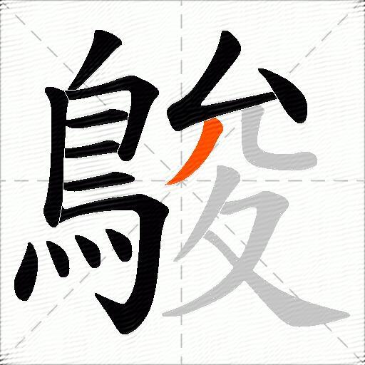 鵔