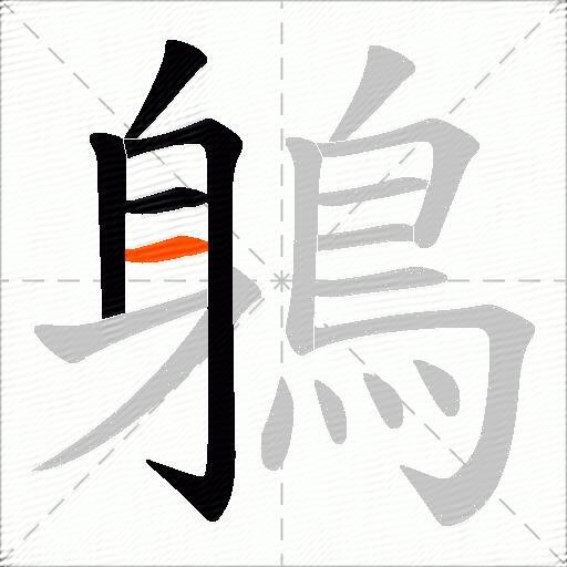 鵢