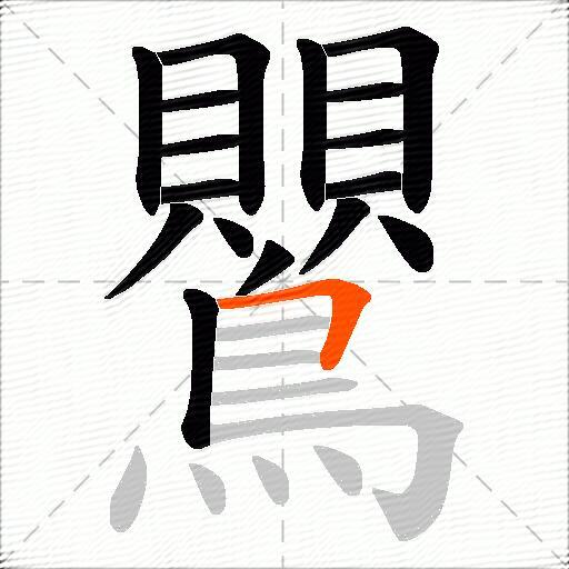 鸎