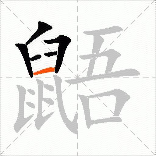 鼯