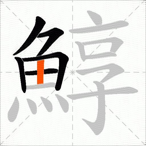 鯙
