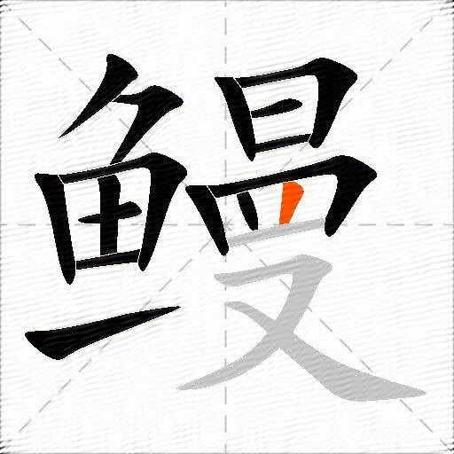 鳗