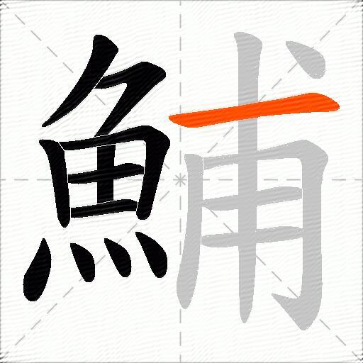 鯆