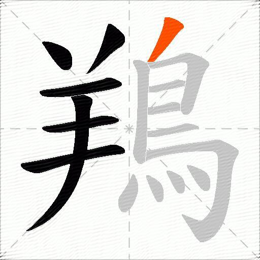 鴹