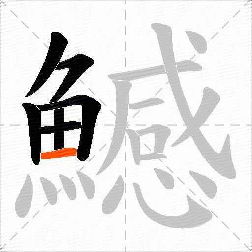 鱤