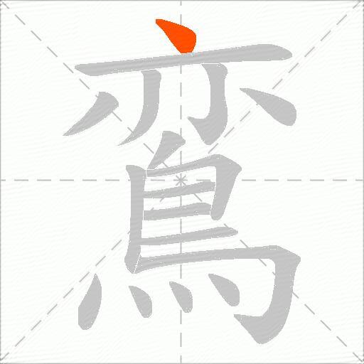 鵉