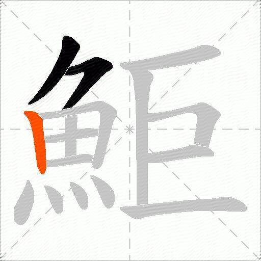 鮔