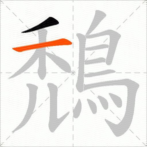 鵚