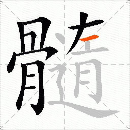 髓